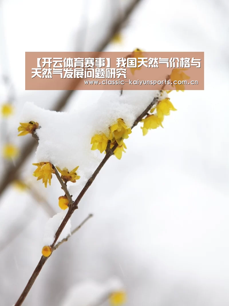 开云体育官方入口