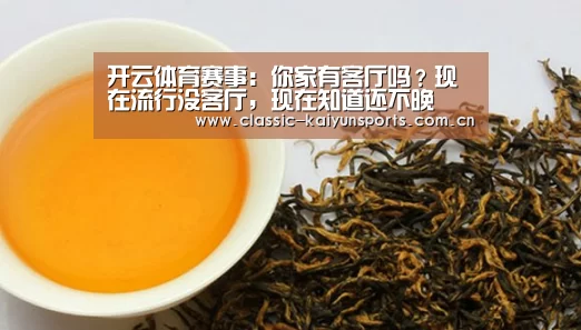 开云体育赛事